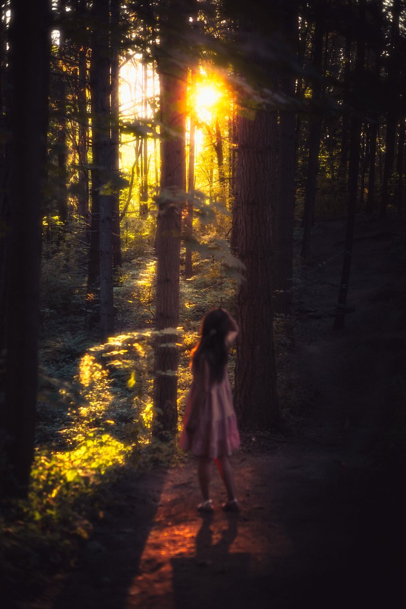 somewhere in neverland