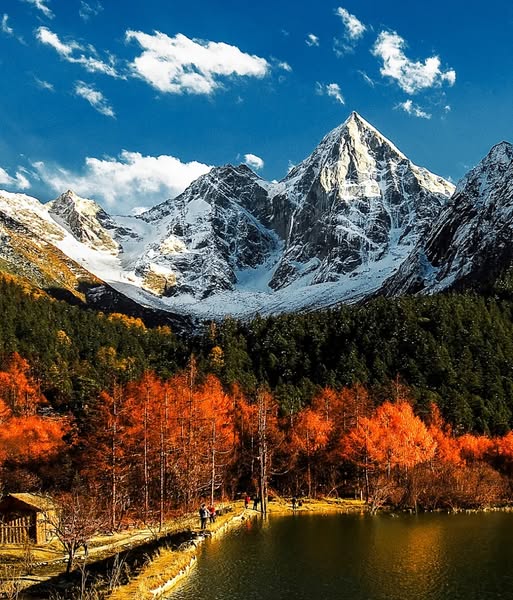 LikeBinzhou's tweet photo. 【China's Highly Recommended Hiking Routes】Autumn #adventure in Western Sichuan: discover the charming season in Miyaluo! 
Miyaluo Scenic Area in Li County, #Sichuan, is one of China’s largest red leaf #destinations and an absolute autumn paradise for hikers! https://t.co/zq1ztaw4DJ