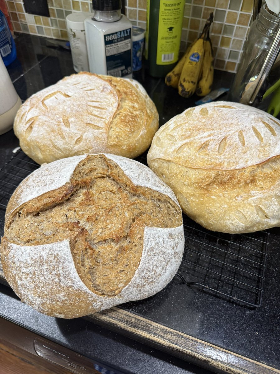 chelseawuth's tweet photo. Feeling pretty hopeless these days, but I held a sourdough fundraiser with my personal network and raised $675 for @Everytown. I’m so thankful and inspired. https://t.co/AVXDRHdjQT