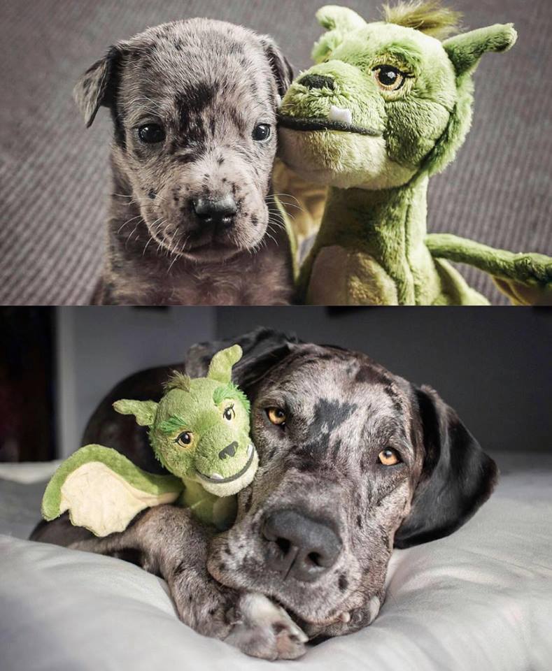 Elliot at four weeks old, and Elliot now.🥰