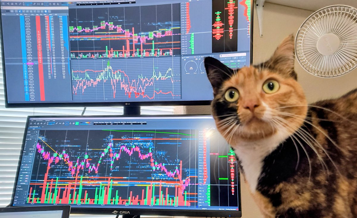 SharkBalu tweet media