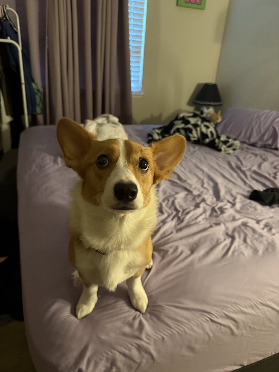 <a href="/agmnt_/">augment</a> me and ponyo say happy brithday