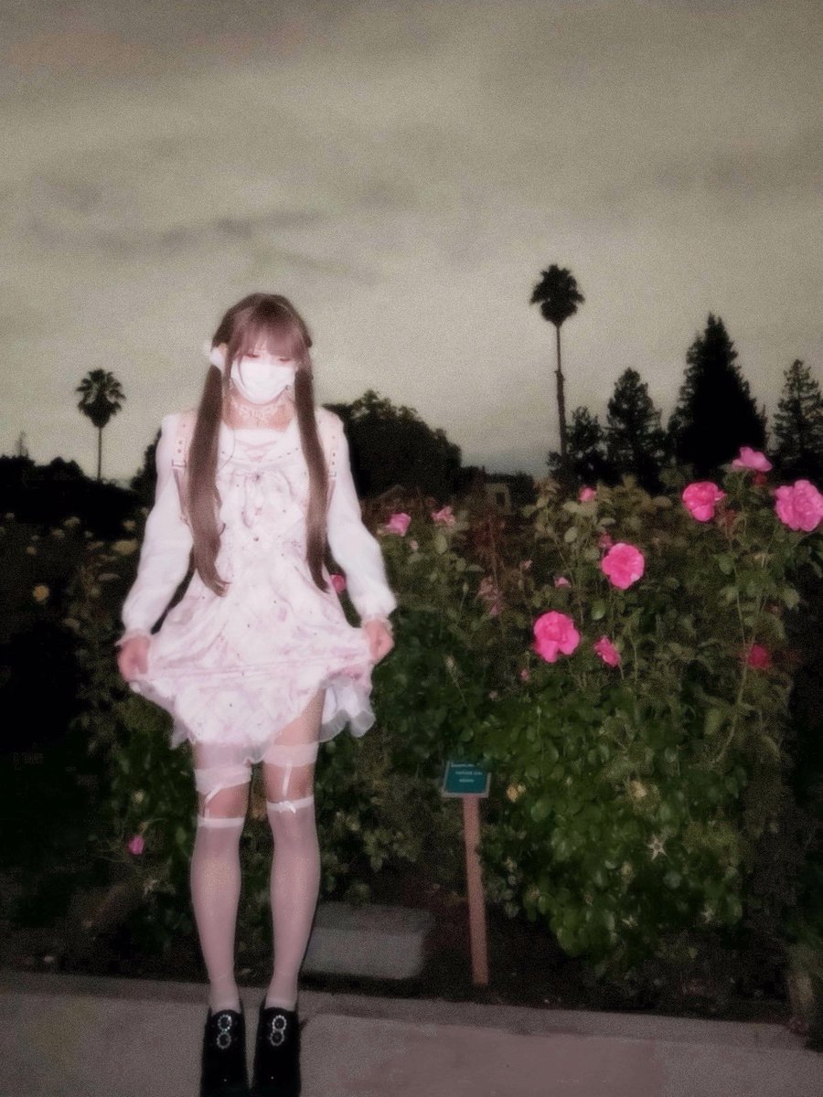 𝖊𝖑𝖎𝖓𝖆 ♡˚₊‧ tweet media