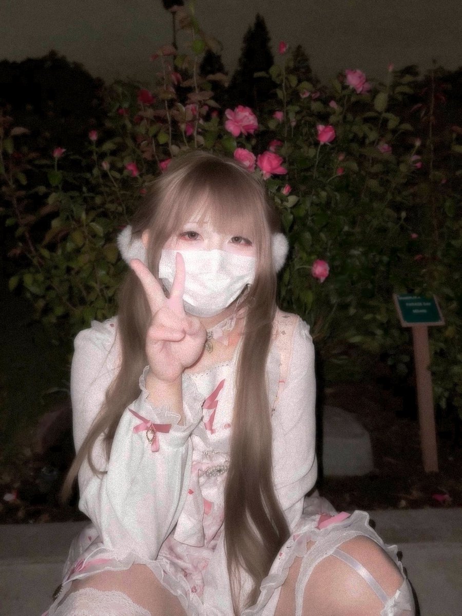 𝖊𝖑𝖎𝖓𝖆 ♡˚₊‧ tweet media