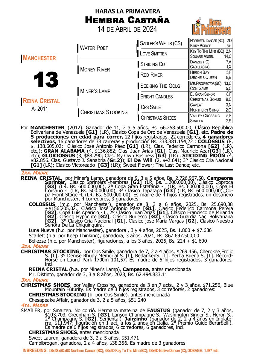 ¡El cruce que no falla! Presentamos la hermana completa de COLOSSUS, ganador del Clásico José Antonio Páez de 2022. Manchester (Water Poet) en Reina Cristal por Miner's Lamp. 😍🏇🇻🇪🔥
#Hipismo #Venezuela #SomosLaPrimavera