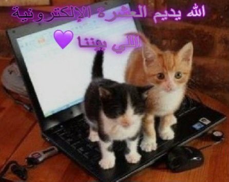 Speed29_'s tweet image. بحط غيمة تضامنًا مع الاحباب