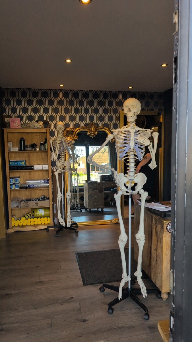 Worked hard today. Built some sassy skeletons.