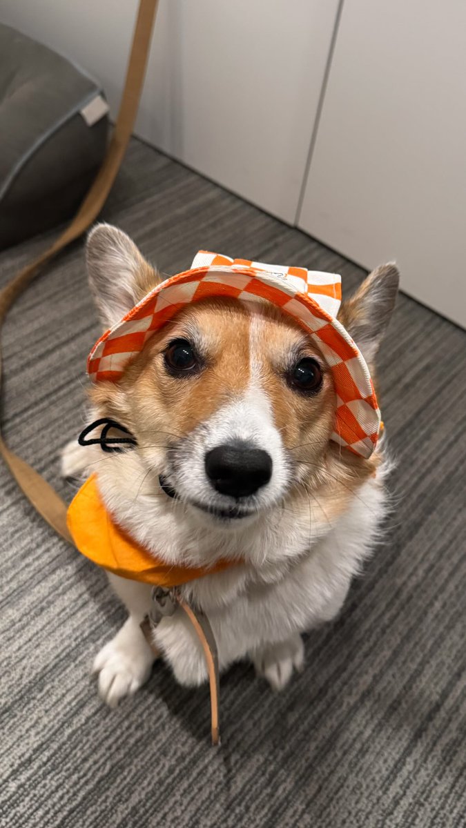 FleurMuse🌸 tweet media