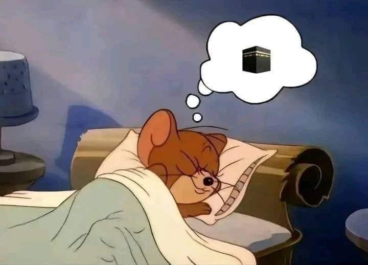 I have a dream