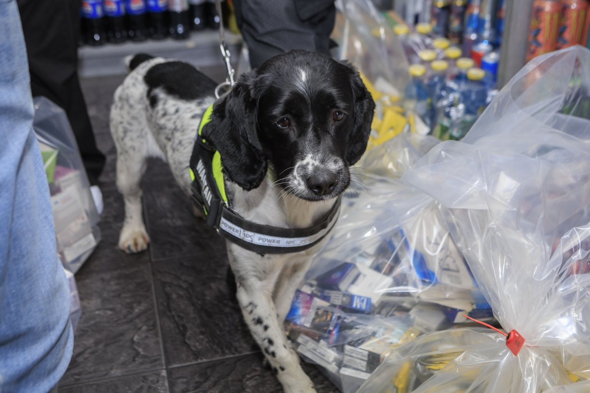 GMPLongsight's tweet photo. #Safe4Summer | Joint operation between GMP and @ManCityCouncil Trading Standards sees over £500k of illicit vapes and tobacco seized during multiple days of action.

Find out more here - https://t.co/12w5sKdUYY https://t.co/KhaI2dnhZE