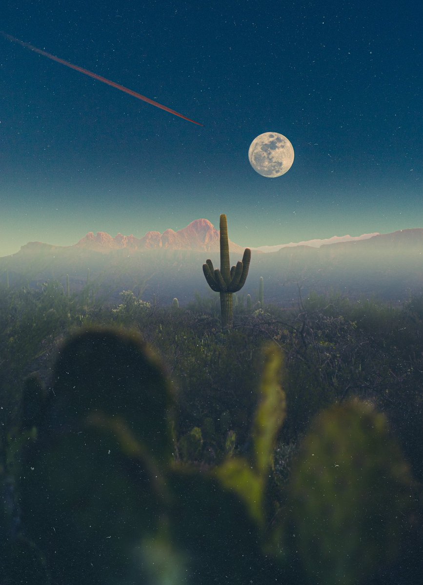 post wook ✨🌻 tweet media