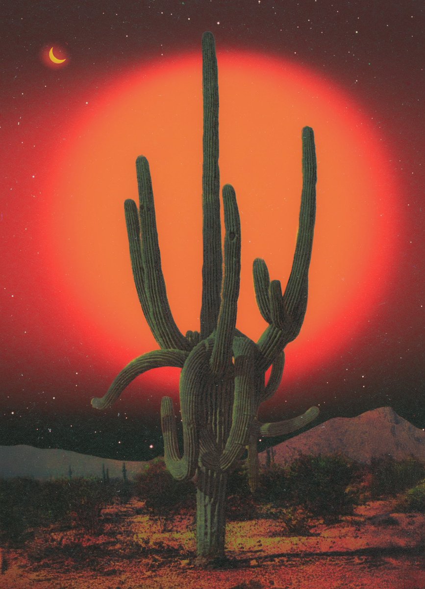 post wook ✨🌻 tweet media