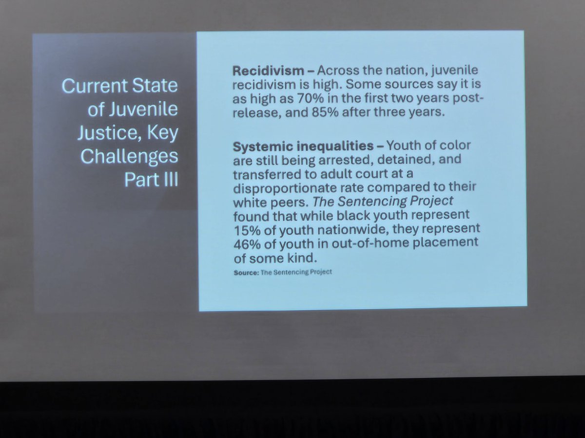 Dixie Fosler and Michelle Duhart discussing some key statistics on the current state of #juvenilejustice in their workshop on Day 2 of the #NPJS2025LeadershipInstitute