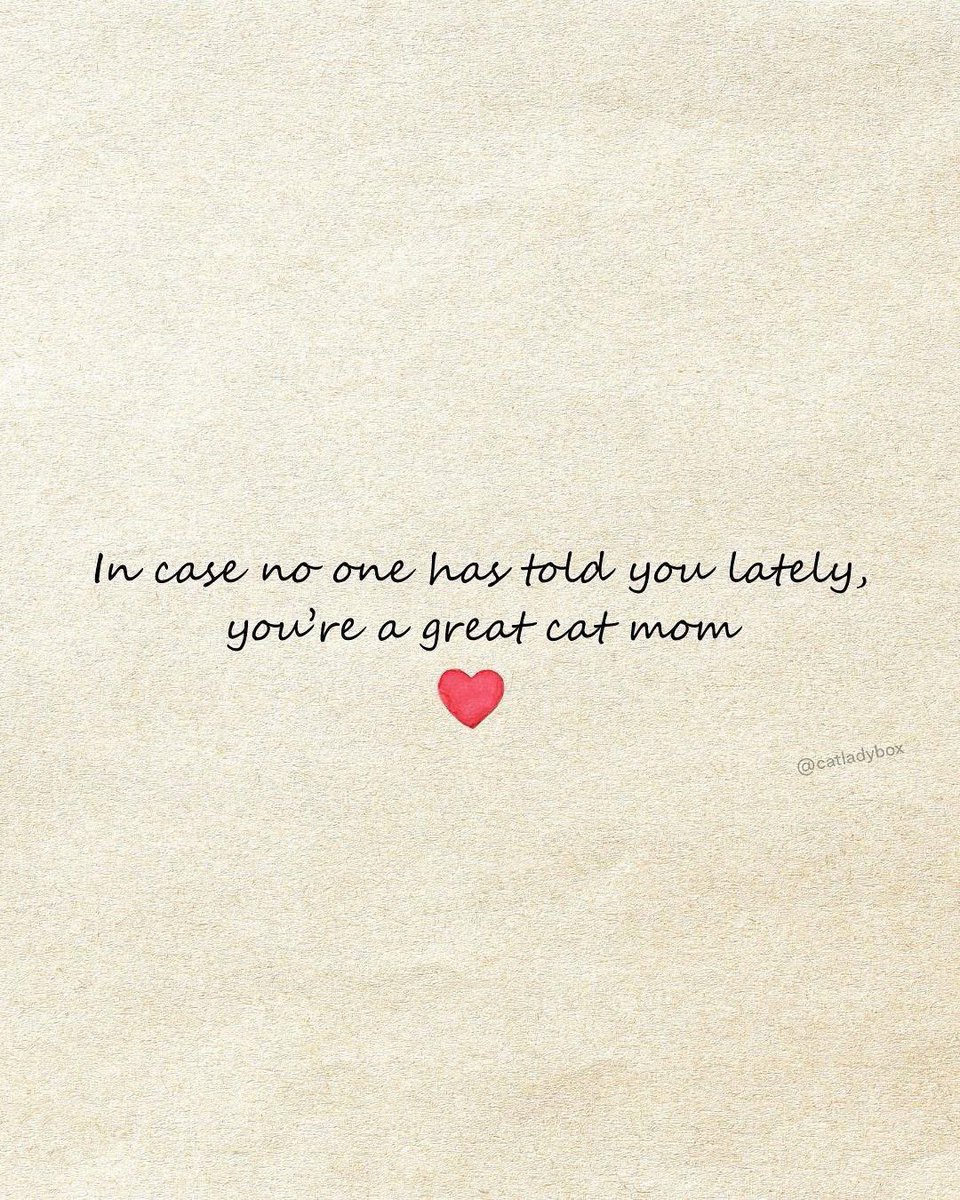 CatLadyBox tweet media