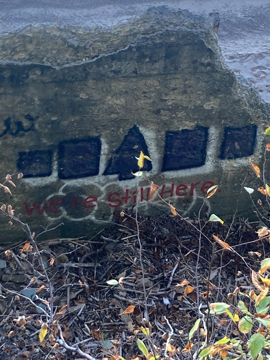 The tag of the Haudenosaunee people on the ruins of a settler sea wall on Lake Erie. As much as the settler tries to eradicate us on both sides of the medicine line, rest assured that we will remain and that “We’re still here”