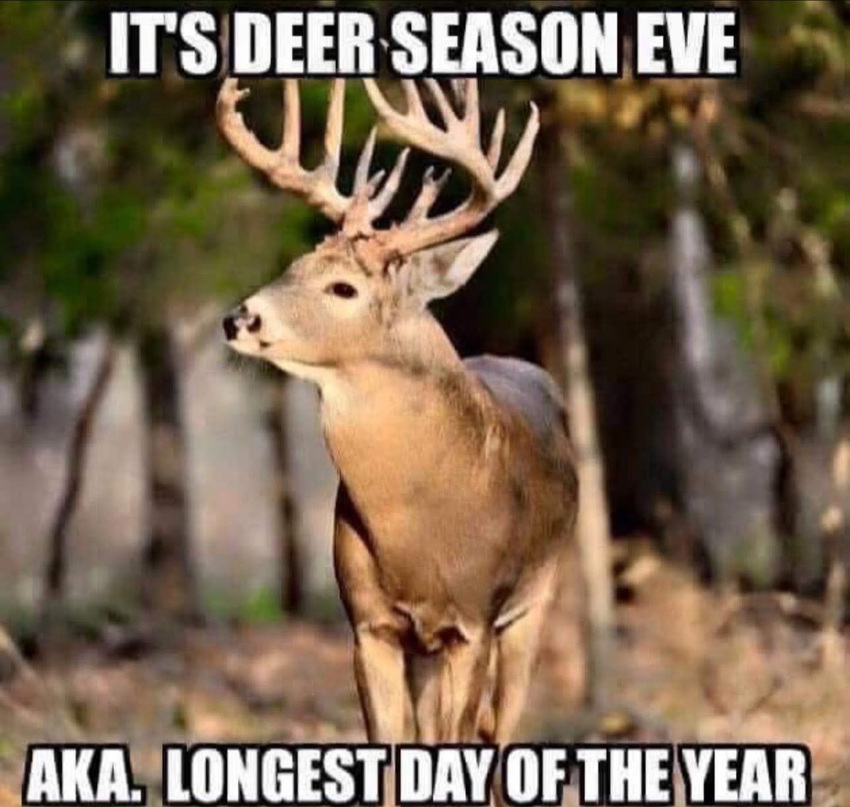 Weekend Warriorz (@warriorzweekend) on Twitter photo 