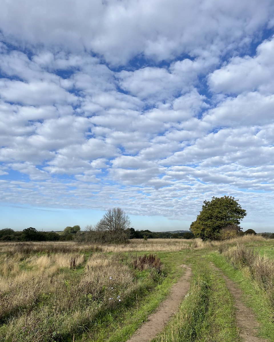 A beautiful morning here in South Staffordshire on the last day of September… and a very enjoyable little run (I don’t say that very often… but then maybe that’s because I kept stopping to take photos!!) on the trails behind our home 💚🌤️💙