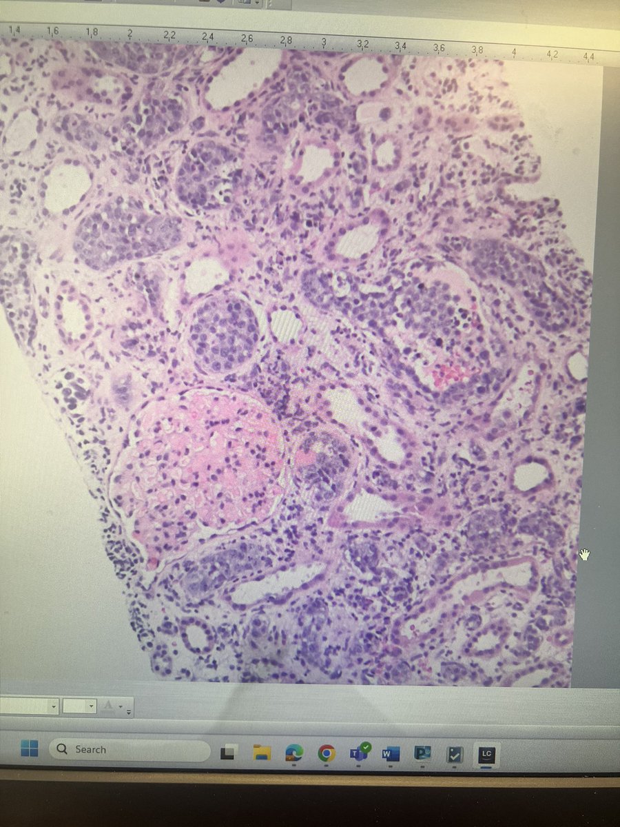 Amna Qureshi tweet media