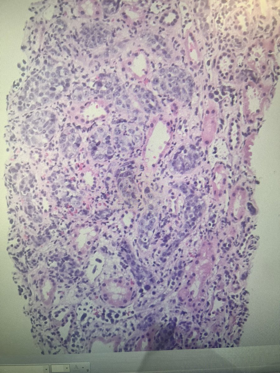 Amna Qureshi tweet media