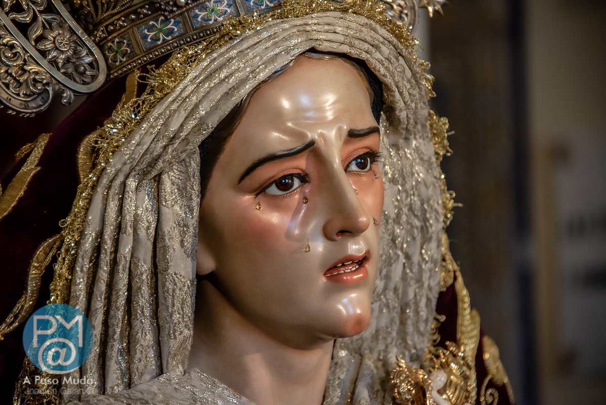 apasomuda's tweet image. .@Jesus_Despojado Galería 📷 fotográfica del #Besamanos en honor a María Santísima de los Dolores y Misericordia de la hermandad de #JesúsDespojado 
#DoloresyMisericordia
#TDSCofrade

apasomuda.blogspot.com/2025/09/besama…