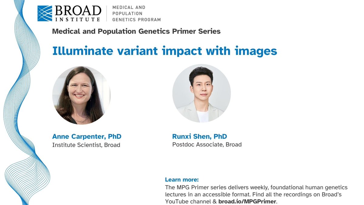 BroadMPG tweet media