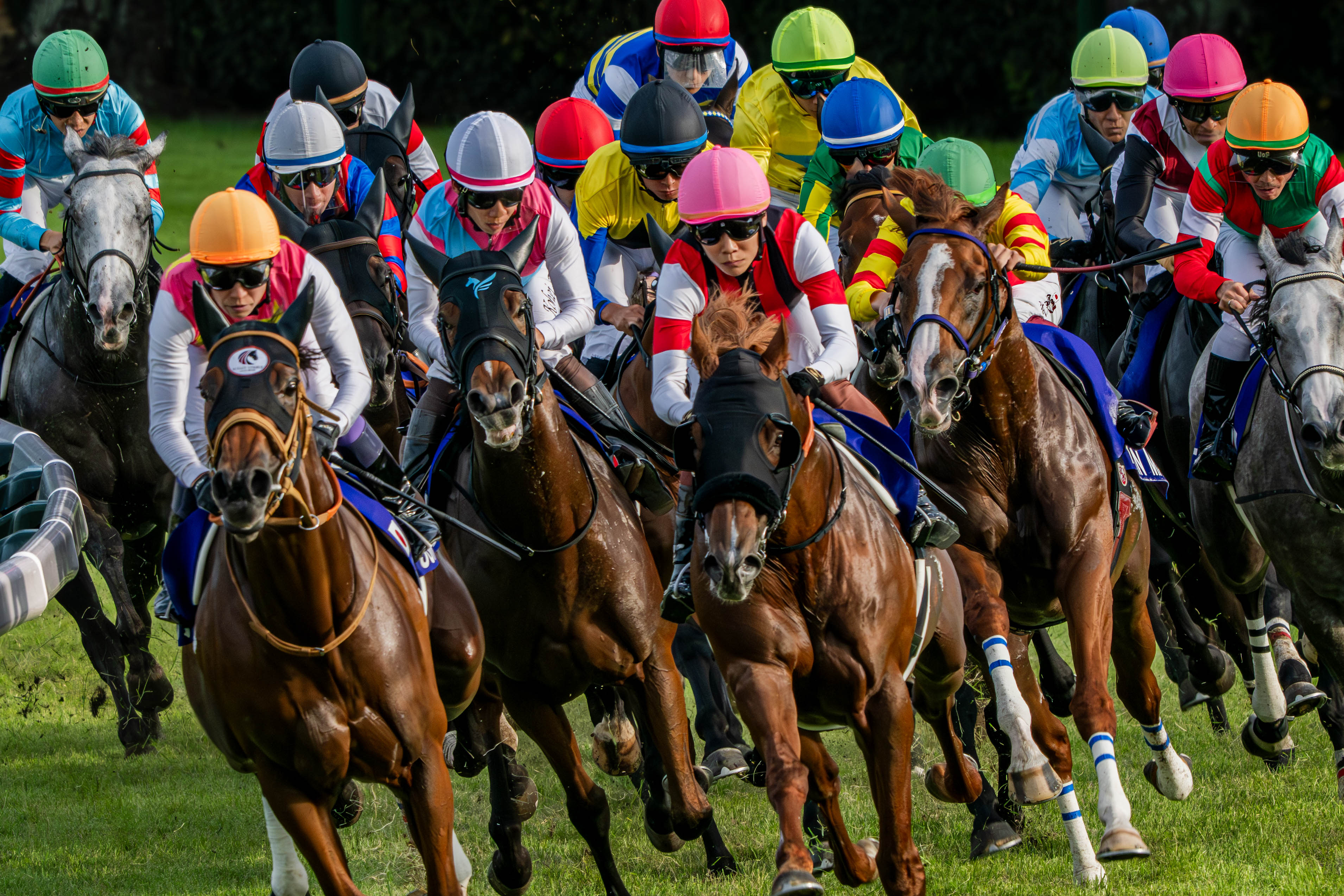 【超希少】 スポーツ新聞完品　日刊スポーツ　タイキシャトル　スプリンターズS 毎日ベスト3】日刊スポーツの東西デスクが厳選！28日のワイド1