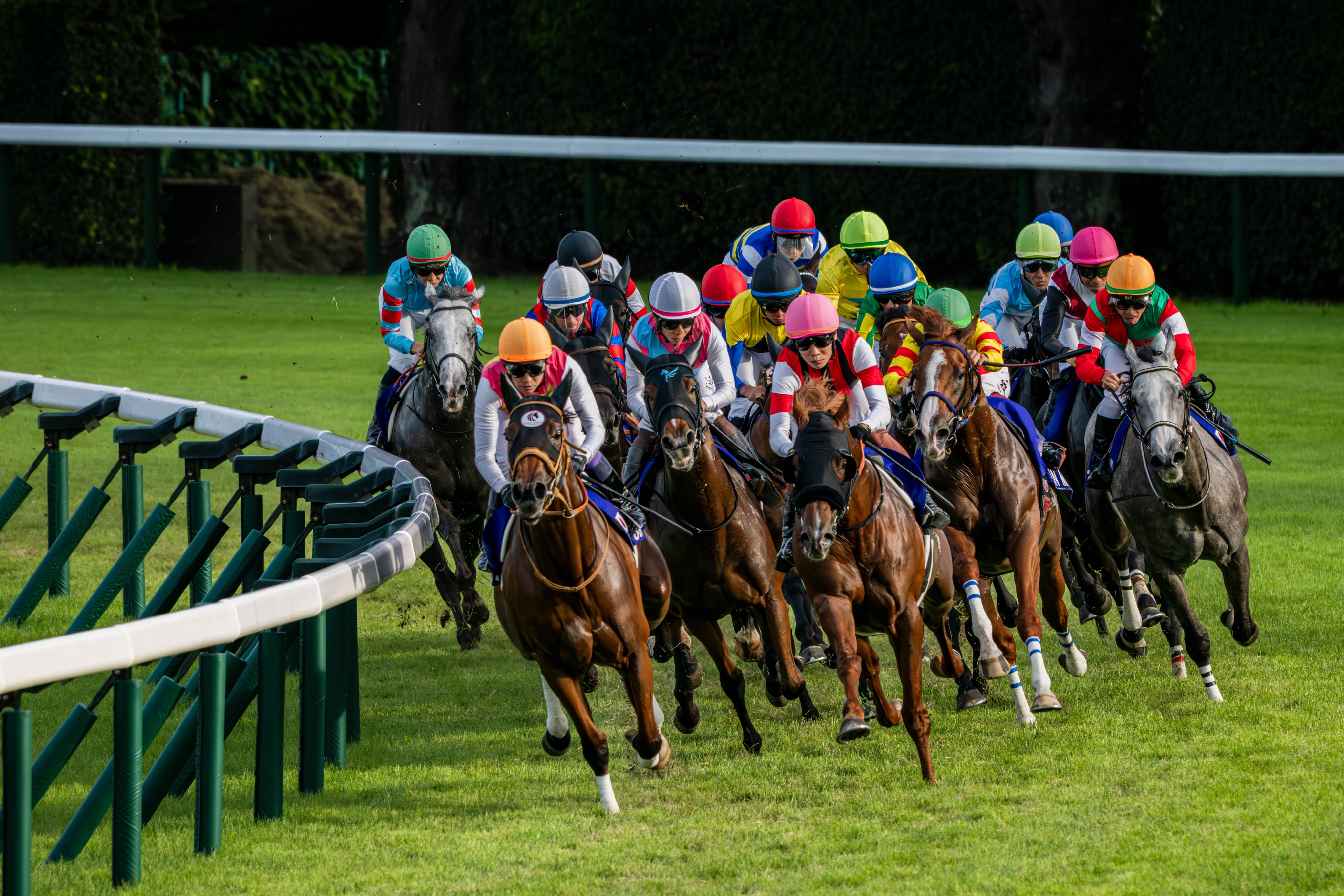 スプリンターズs - Search / X