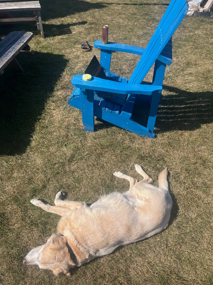 Philip Snyder tweet media