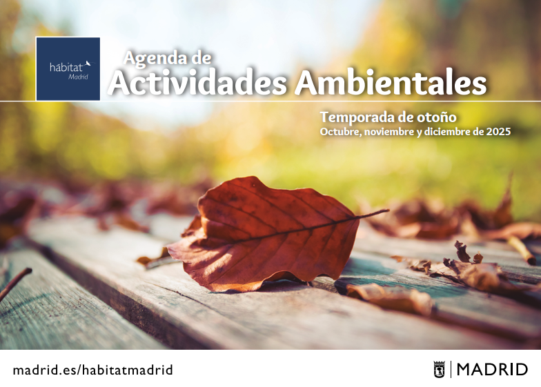 🍂 Participa en Hábitat Madrid, otoño 2025

👨‍👩‍👧 Actividades gratuitas para público general
🌳 Visitas guiadas a parques y viveros
🖼️ Exposiciones y jornadas ambientales
💻 Webinarios y talleres

ℹ️ Más info y programa completo 👉 madrid.es/habitatmadrid