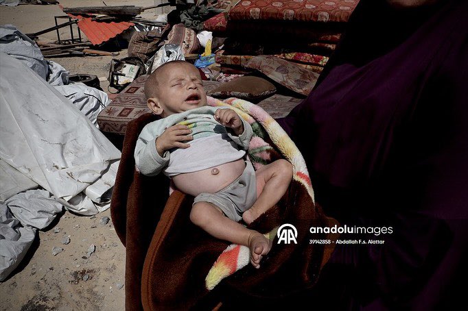 Abdallahallattr's tweet photo. #freepalestine #stopbombinggaza #stopthewar #SayNoToGenocide #GenocidalState #GazaGenocide #khanyunis
#EndisraelsGenocide #Save_Gaza
#Siege_Crimes https://t.co/MX296cYZlr