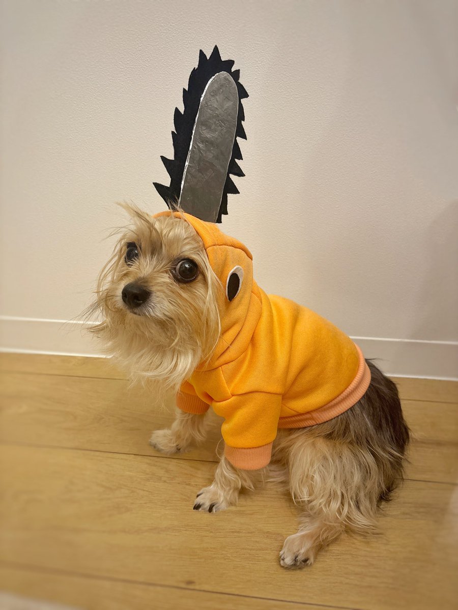 狐❖壱伍 (@IXo77AHDJ3GfcxX) / X