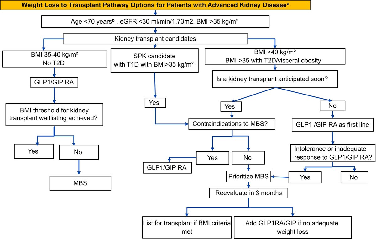 Mini-Review by <a href="/AleksandraKukl9/">Aleksandra Kukla</a>, Ricardo Cohen, and Allon Friedman: 

 Metabolic Bariatric Surgery in Kidney Transplant Candidates

bit.ly/3Vzeauk