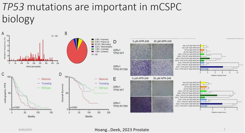 Julian Chavarriaga (@chavarriagaj) on Twitter photo #ASTRO25 <a href="/matthewdeek/">Matthew P Deek</a>  explored the genomic landscape of oligometastatic PCa: 
📌 STOMP & ORIOLE: MDT improves outcomes, but not all benefit equally.
💡 Hypothesis: Metastatic extent + onset are biologically driven / genomics holds the key.
🔎 TP53 & HR mutations = higher risk, #ASTRO25 <a href="/matthewdeek/">Matthew P Deek</a>  explored the genomic landscape of oligometastatic PCa: 
📌 STOMP & ORIOLE: MDT improves outcomes, but not all benefit equally.
💡 Hypothesis: Metastatic extent + onset are biologically driven / genomics holds the key.
🔎 TP53 & HR mutations = higher risk,
