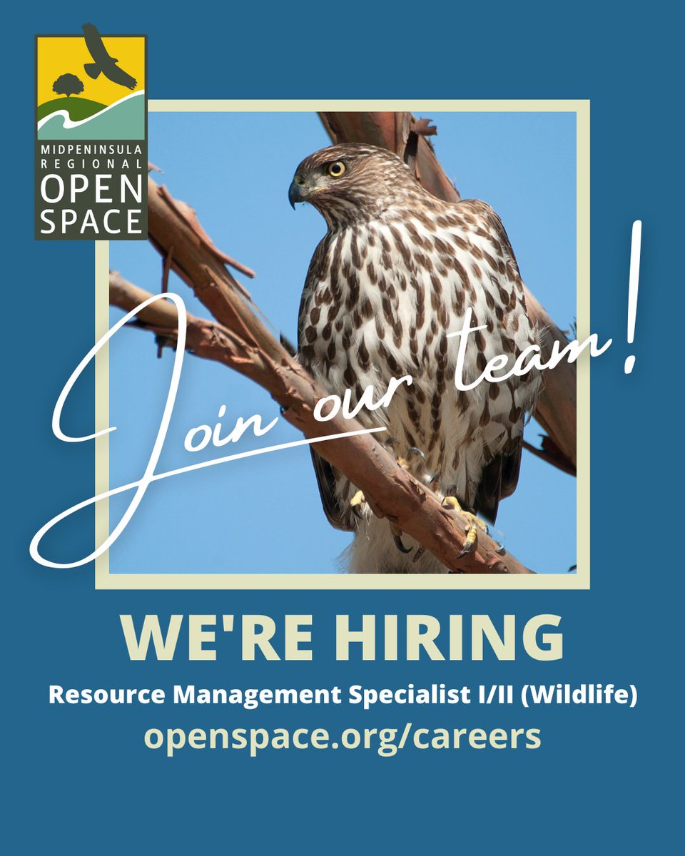 Midpen Open Space (@midpenopenspace) on Twitter photo Midpen is seeking a motivated resource management specialist. The ideal candidate will have knowledge of California wildlife species, an understanding of CEQA, and state and federal agency permitting.
Learn more and apply: bit.ly/3WdKxyP
📷: Joan Sparks Midpen is seeking a motivated resource management specialist. The ideal candidate will have knowledge of California wildlife species, an understanding of CEQA, and state and federal agency permitting.
Learn more and apply: bit.ly/3WdKxyP
📷: Joan Sparks