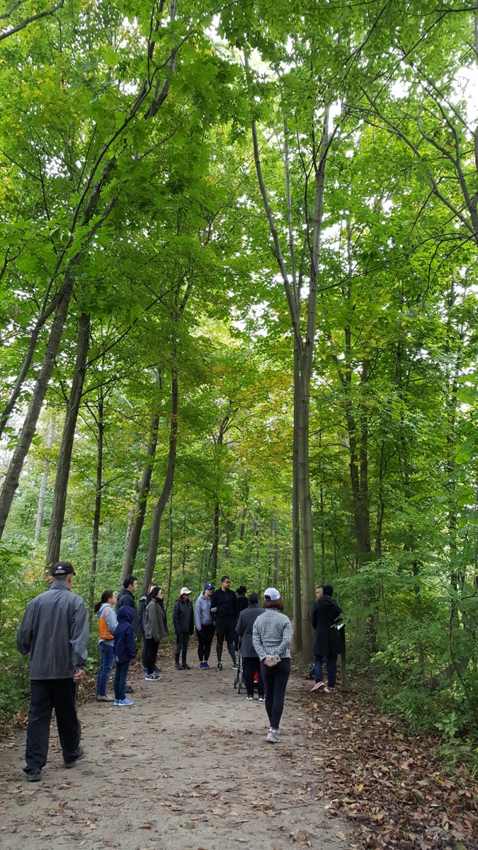 Walk along the Moccasin Trails and explore the history of the lands from an Indigenous perspective. Follow the Moccasin Trails signs along Bronte Creek Heritage Trail and Sixteen Mile Creek. #NationalDayforTruthandReconciliation

Learn more: oakville.ca/community-even…