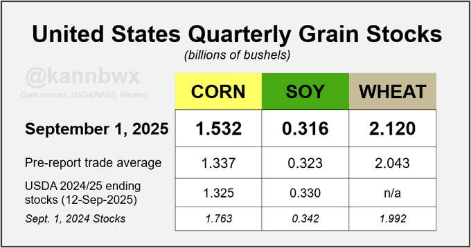 A table displaying United States quarterly grain stocks in billions of bushels. Columns list corn, soy, and wheat with data for September 1, 2025, showing 1.532 for corn, 0.316 for soy, and 2.120 for wheat. Additional rows show pre-report trade averages, USDA 2024/25 ending stocks, and September 1, 2024 stocks. A watermark from @kannbwx is present.
