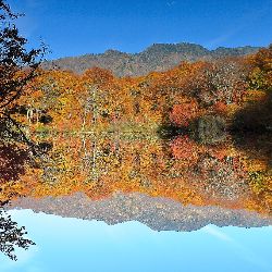 RNAGroupJapan's tweet image. RNA Group Quarterly Update October 2025 - mailchi.mp/hrcjapan.com/n…