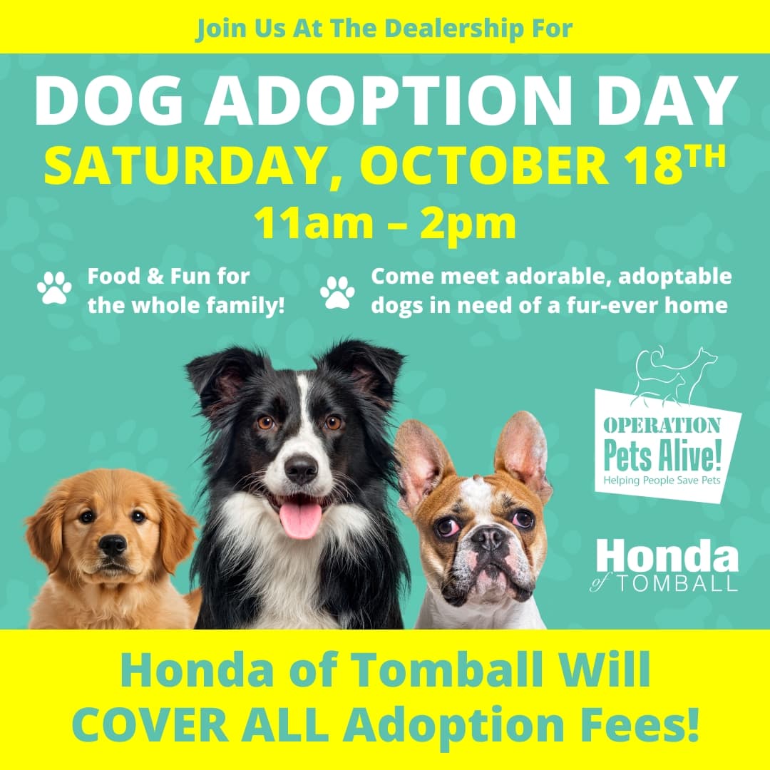 We’re teaming up with Operation Pets Alive to host an adoption event featuring adorable, adoptable dogs!

✨ What to Expect:
🐾 FREE adoption fees, Honda of Tomball is covering
🎉 Food &amp; fun for the whole family
🐕 Meet-and-greet with sweet pups ready for a second chance
