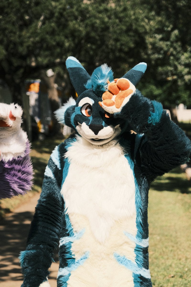 Athy / June Cabbit tweet media