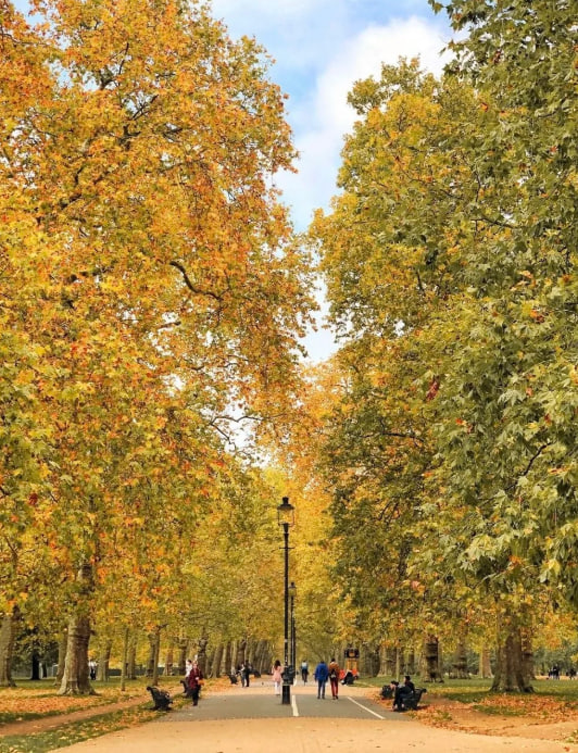 My heart feels lighter, my mind clearer, and my soul calmer after seeing this. 🌅❤️🧘‍♀️