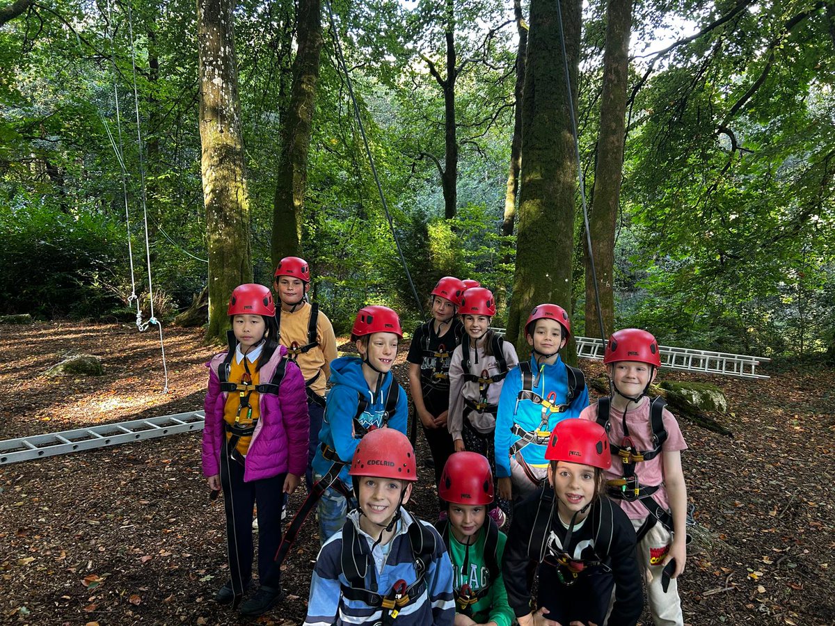 Stoke Hill Fed tweet media