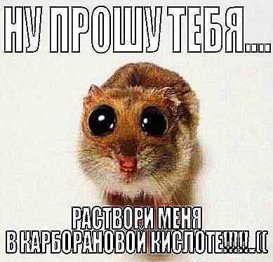 у меня в руке сачок я у мамы дурачок бебебе бябябя…..