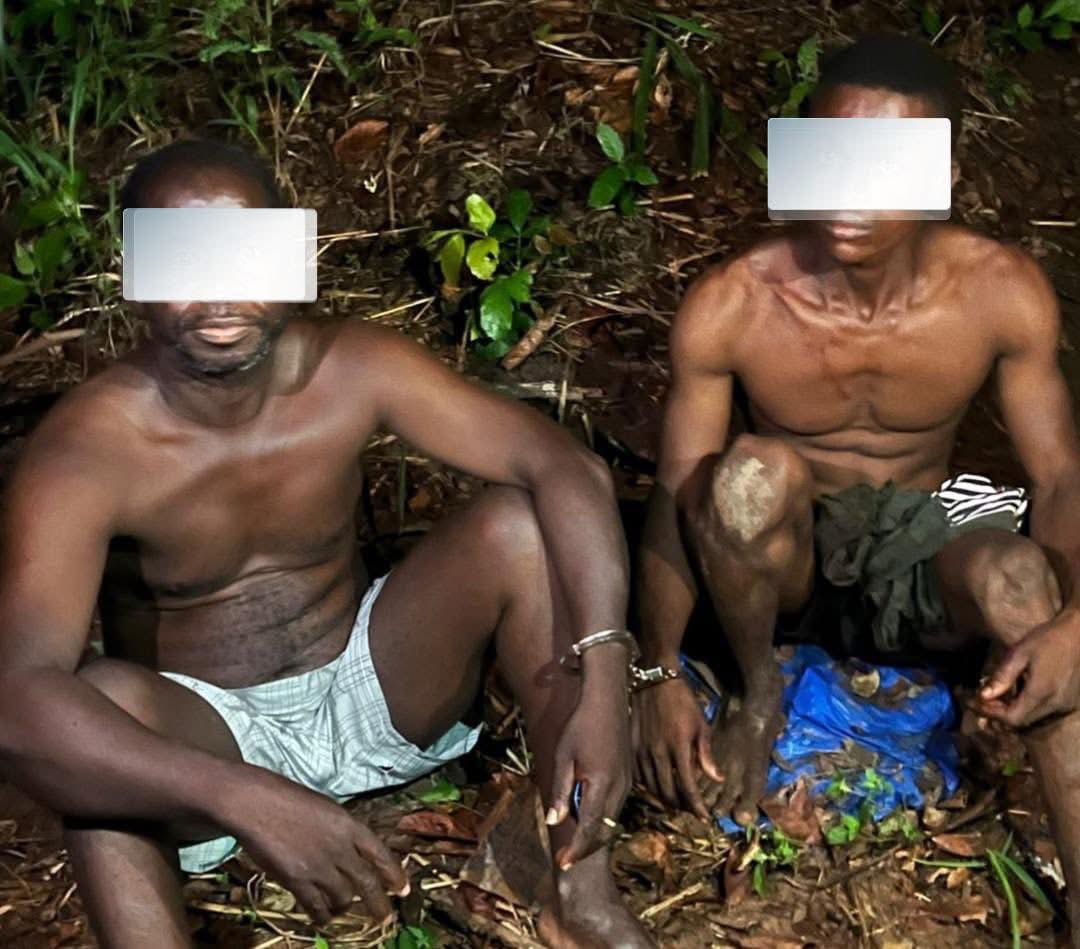 La Côte d’Ivoire Est Chic tweet media