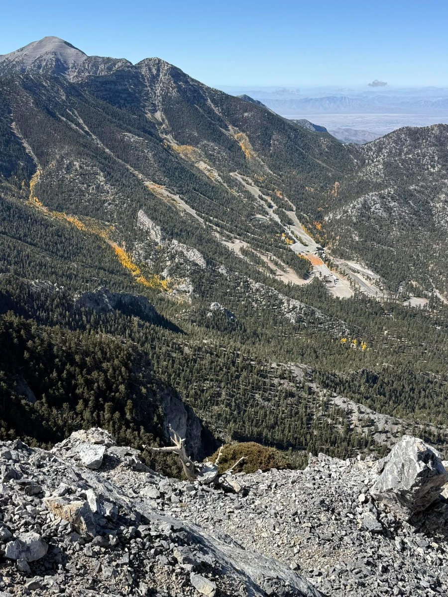 The view of Lee Peak today… the fall colors and cooler temps make for one of the best off-strip getaways in Las Vegas.

📸: Anton Bates