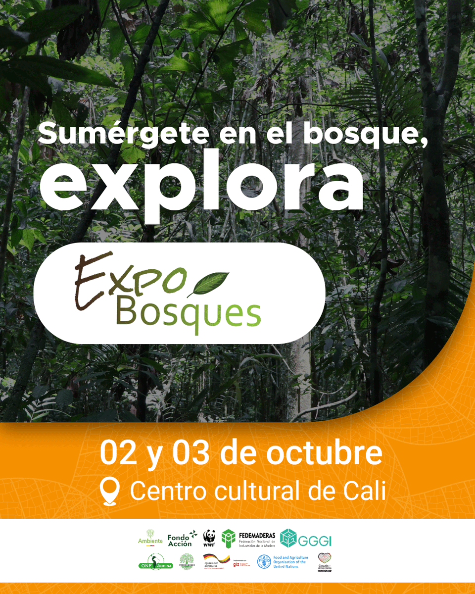 FAO_Colombia's tweet photo. 🗓 Conferencias, 🤝 diálogos y 🌱 stands de más de 30 experiencias de #ManejoForestalSostenible te esperan en #ExpoBosques2025.
¡Agenda tu participación en Cali este 2 y 3 de octubre! 
Programación Día2️⃣👇🏽
#SemanaDeLaBiodiversidad 
#BosquesProductivos https://t.co/e1I6AXk1nb