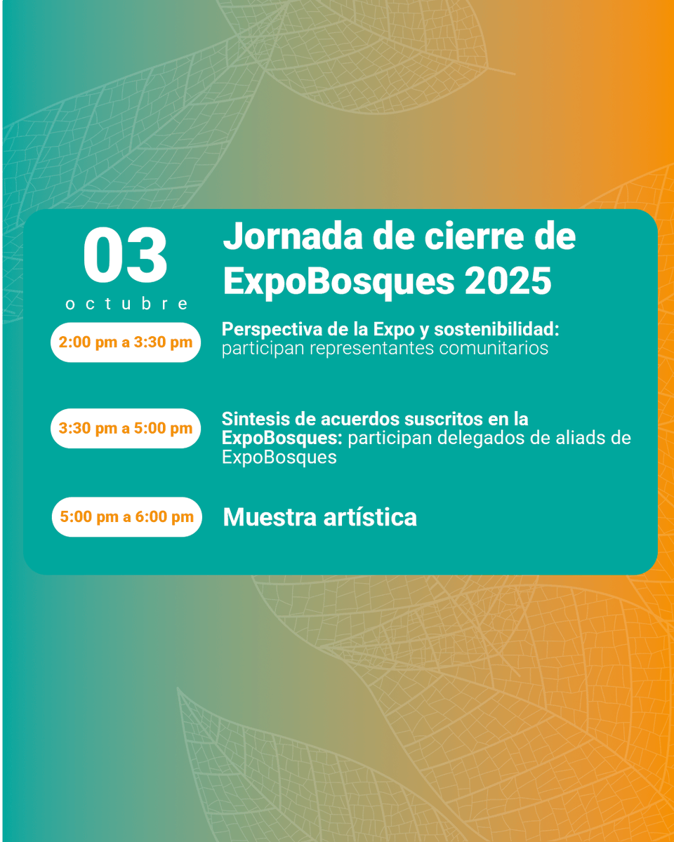 FAO_Colombia's tweet photo. 🗓 Conferencias, 🤝 diálogos y 🌱 stands de más de 30 experiencias de #ManejoForestalSostenible te esperan en #ExpoBosques2025.
¡Agenda tu participación en Cali este 2 y 3 de octubre! 
Programación Día2️⃣👇🏽
#SemanaDeLaBiodiversidad 
#BosquesProductivos https://t.co/e1I6AXk1nb