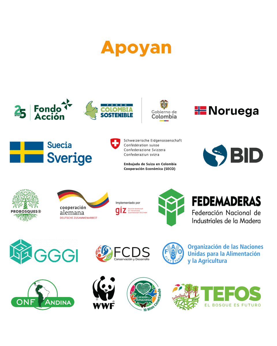 FAO_Colombia's tweet photo. 🗓 Conferencias, 🤝 diálogos y 🌱 stands de más de 30 experiencias de #ManejoForestalSostenible te esperan en #ExpoBosques2025.
¡Agenda tu participación en Cali este 2 y 3 de octubre! 
Programación Día2️⃣👇🏽
#SemanaDeLaBiodiversidad 
#BosquesProductivos https://t.co/e1I6AXk1nb