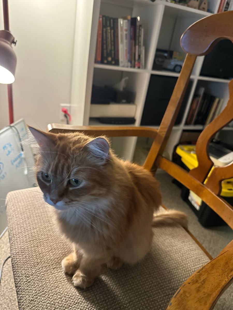 Little Alany found her new home in … Canada )  It was a long way.  But you made it, little A. I’m already miss you.  Enjoy your new life