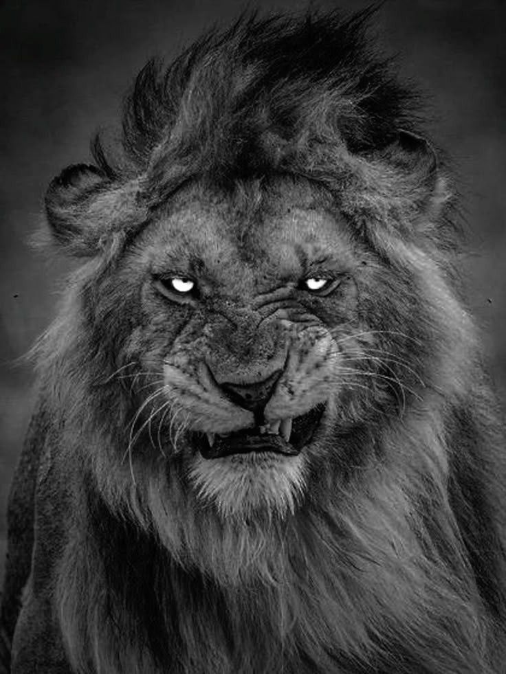 GALATASARAY:1. Liverpool :0

İngiltere devini devirdi Aslanlarımız🔥

#Galatasaray #GalatasarayvsLiverpool 
#cimbom Galatasaray - Liverpool
#lemina #Osimhen #Sara #yunusakgün