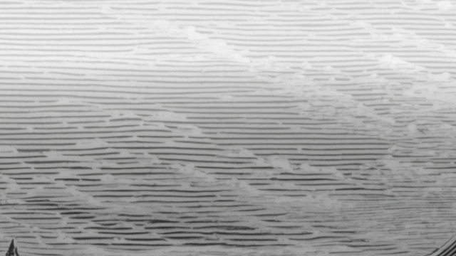 حرف 𝕏 ومعنى tweet media